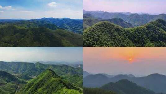 （合集）浙江山区竹林竹海唯美日出日落高清在线视频素材下载