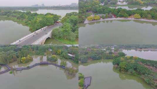 广州海珠湖湿地公园航拍海珠区城市地标高清在线视频素材下载