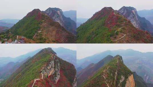 巫山文峰景区+三峡龙脊+巫山红叶+三峡红叶高清在线视频素材下载