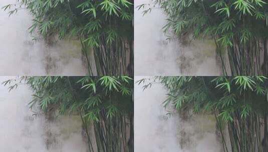 园里一角的竹子高清在线视频素材下载