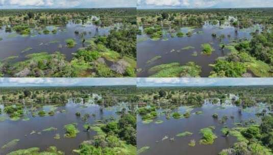 巴西亚马逊州亚马逊森林的壮丽景色。高清在线视频素材下载