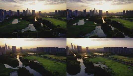 夕阳下安静的城市草坪湿地高清在线视频素材下载
