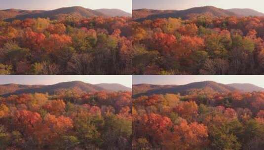 秋季山脉高清在线视频素材下载