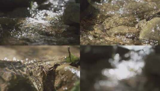 5K-水源溪流，溪水瀑布，雨林山水酿酒雨高清在线视频素材下载