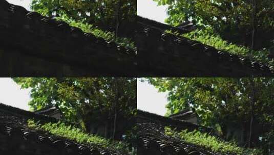 长满青草的古典黑瓦房子屋顶高清在线视频素材下载
