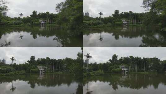 生态公园湖2高清在线视频素材下载