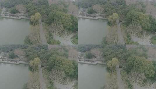 4K上海普陀公园实拍高清在线视频素材下载
