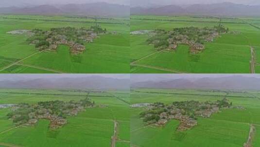 西藏日喀则白朗县蔬菜种植基地航拍高清在线视频素材下载