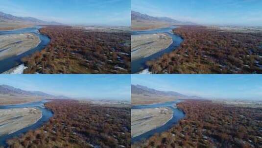 冬季的伊犁草原高清在线视频素材下载