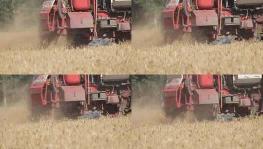 机械农业小麦收割高清在线视频素材下载