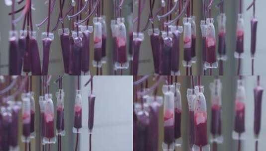 血液献血高清在线视频素材下载