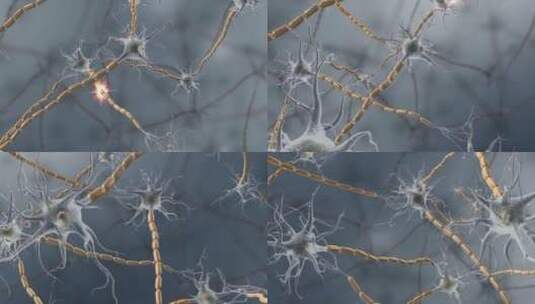 神经细胞神经元神经突神经树突3D三维动画高清在线视频素材下载