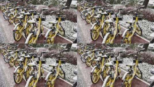 下雪天路边美团共享单车高清在线视频素材下载
