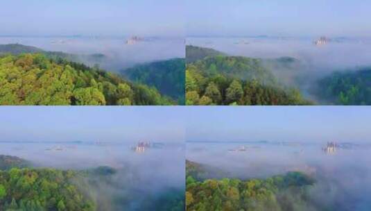 云层上的风景，山林秘境惹了聚雨，大自然高清在线视频素材下载