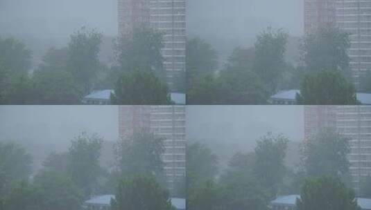雾气雾霾阴天下雨暴雨中的城市高清在线视频素材下载
