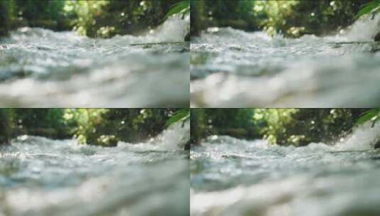 森林小溪流水升格特写意境感高清在线视频素材下载