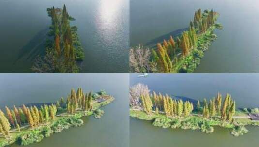 昆明草海湿地航拍高清在线视频素材下载