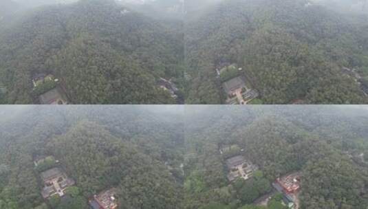 清晨雾气中的山林高清在线视频素材下载