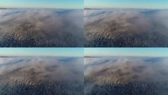 航拍大兴安岭冬季山林雾凇云雾高清在线视频素材下载