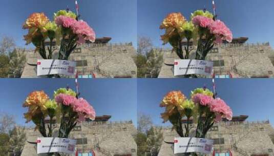 三月济南，春天护城河黑虎泉解放阁鲜花高清在线视频素材下载