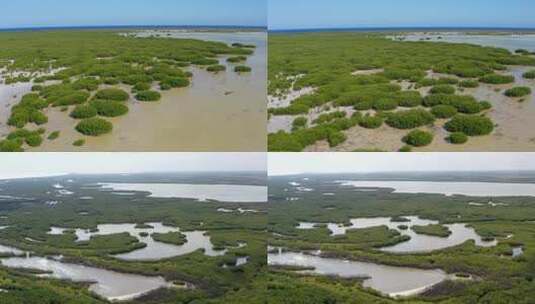 生态湿地高清在线视频素材下载