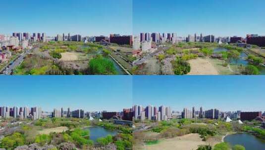 天津现代化城市公园绿地休闲生活高清在线视频素材下载