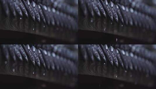 瓦片下雨滴水高清在线视频素材下载