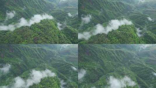 春季雨后高山上的云海高清在线视频素材下载