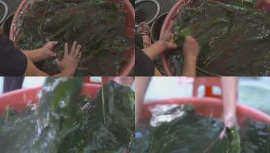 4kl1蕉园村 裹蒸粽 食材准备 清洗粽叶2高清在线视频素材下载