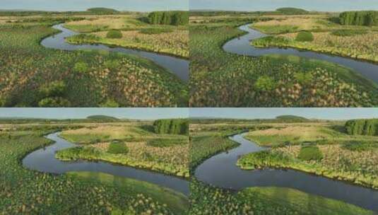 航拍大兴安岭湿地河流风景高清在线视频素材下载