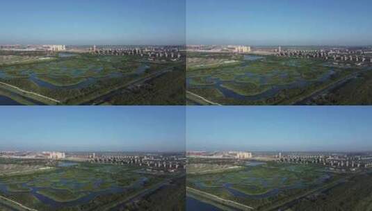 天津市静海区团泊镇生态乡村风光高清在线视频素材下载