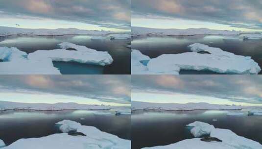探索南极野生动物南极之旅高清在线视频素材下载