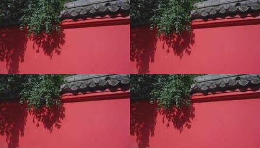 红墙红色的墙城墙古墙3938高清在线视频素材下载