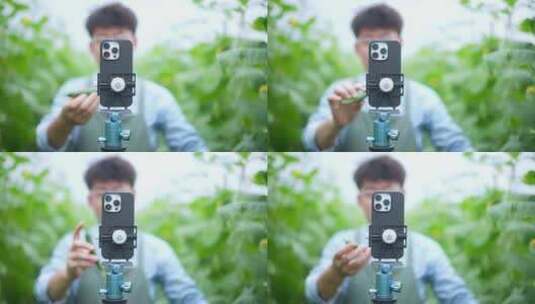 年轻男人在蔬菜大棚使用手机直播带货高清在线视频素材下载