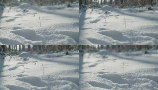 雪，冬天，森林，冰冻高清在线视频素材下载