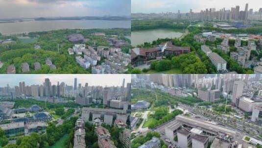 湖北武汉东湖城市风景风景风光航拍听涛景区高清在线视频素材下载