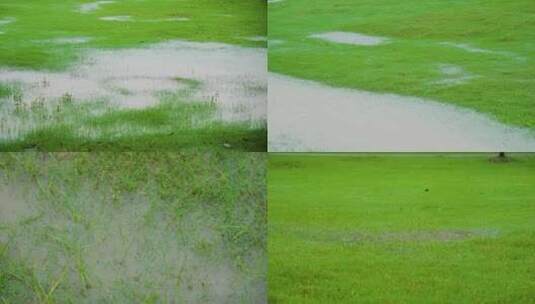 暴雨草地 草坪下雨 绿地下雨高清在线视频素材下载