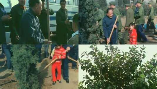 1979年 邓小平植树造林高清在线视频素材下载