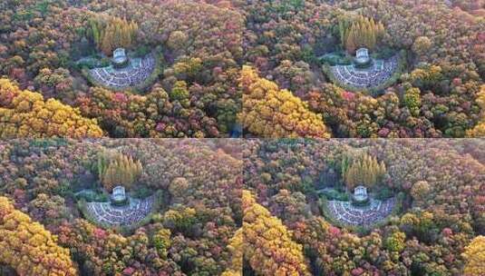 南京秋天 音乐台 中山 钟山风景区高清在线视频素材下载