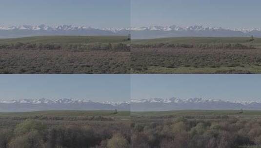 草原雪山自然风光全景高清在线视频素材下载