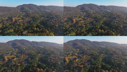 江苏南京灵山风景区前秋天秋色航拍高清在线视频素材下载