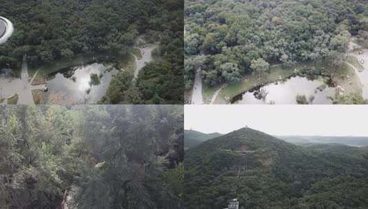 沈阳棋盘山登山口 树林中池塘边高清在线视频素材下载