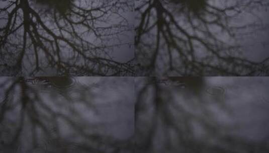 高清实拍水里树的倒影高清在线视频素材下载