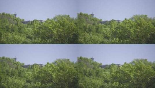 原创树林树叶阳光空镜头校园逆光唯美小清新高清在线视频素材下载