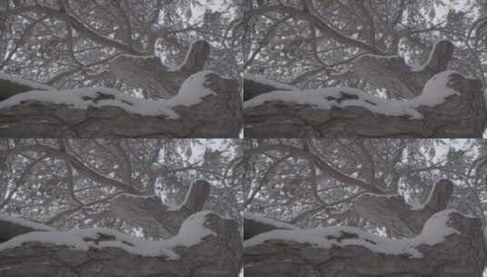 雪后景色LOG高清在线视频素材下载