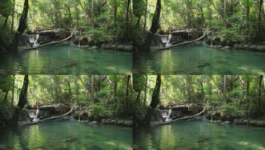 宁静的森林_河流和瀑布高清在线视频素材下载