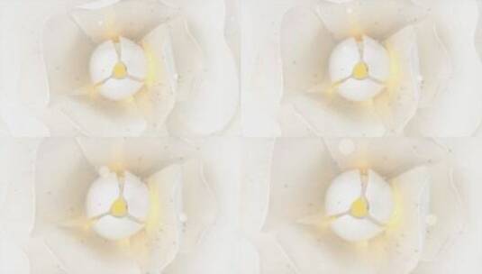 白色开花的玫瑰美容护肤创意3D素材高清在线视频素材下载