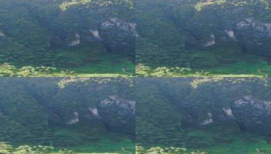 大自然悬崖峭壁竖屏航拍高清在线视频素材下载