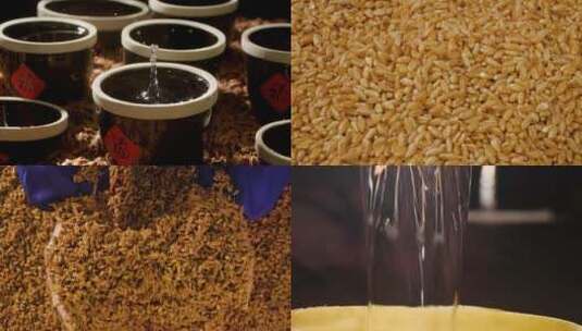 小麦酿酒素材高清在线视频素材下载