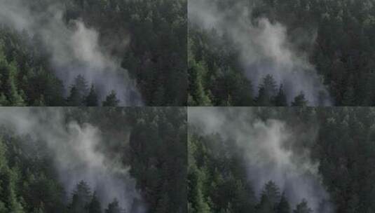 航拍 震撼的山林火灾高清在线视频素材下载